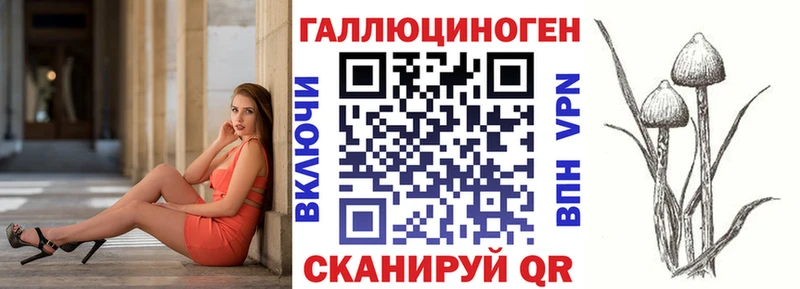 Псилоцибиновые грибы Psilocybe  наркота  Валдай 
