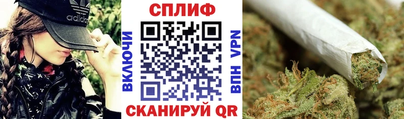 где найти наркотики  Валдай  Шишки марихуана White Widow 